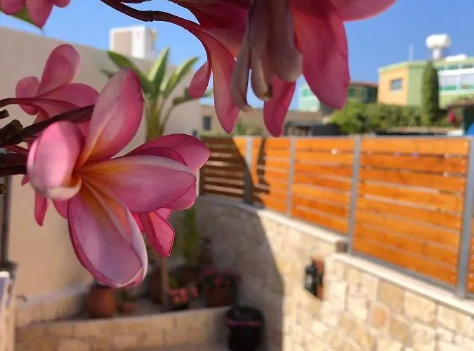 Fontana Traditional House *