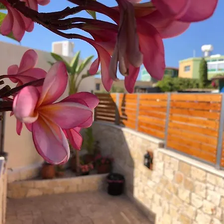 Fontana Traditional House *